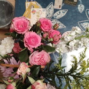 窗外的雪融化了吗