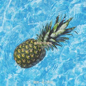 适合旅馆开心的音乐