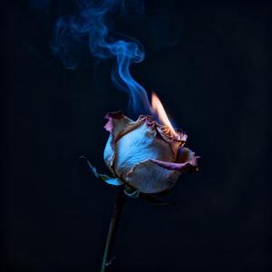 西西里 (金三角版)