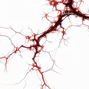 Wish