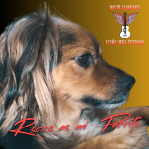 Rocco Es Mi Perrito