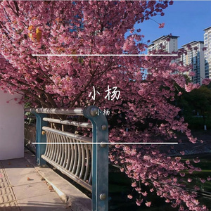 晚霞顺路来见我