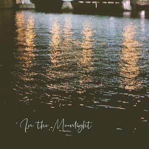 In the Moonlight