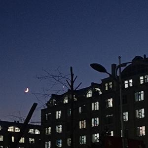 温蒂公主的侍卫