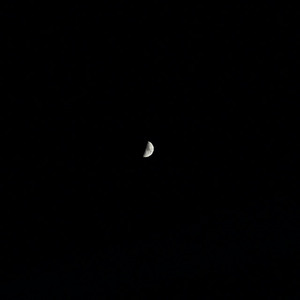 Nightmare (feat. Lil Free)