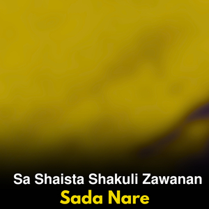 Sa Shaista Shakuli Zawanan