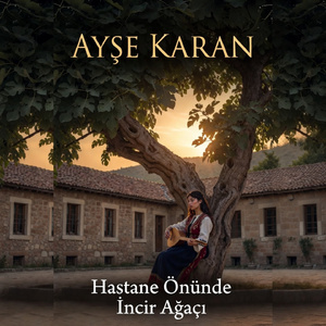 Hastane Önünde İncir Ağacı