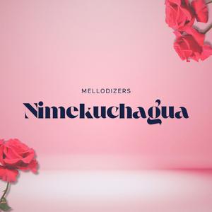 Nimekuchagua
