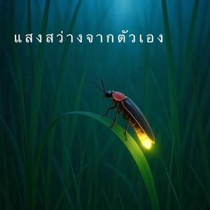 แสงสว่างจากตัวเอง