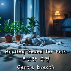 잠이 드는 달 - The Sleeping Moon