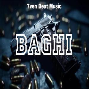 Baghi (feat. VD Rao)