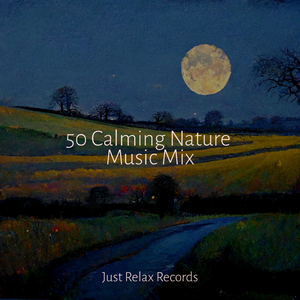 Whispers of the Misty Grove