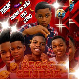 ORGÃO GENITAIS
