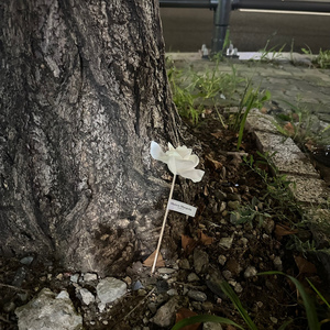 B city boy makin' big wave