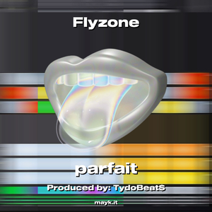 Flyzone