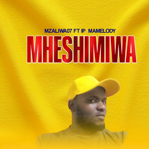 MHESHIMIWA