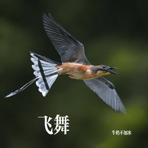 我的画布我的墙