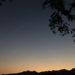 告白信（给你的爱Remix）