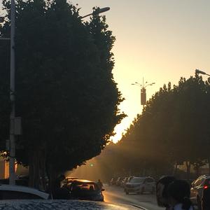 呼救（Prod.金桔0RANG3)