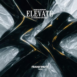 Elevate (Franky Nuts Remix)
