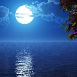 星辰的夜 (烟嗓男版)