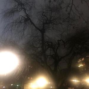 Dreams Come Through Stone Walls