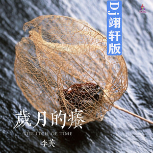 岁月的痒 (Dj翊轩版)