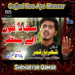 Sajjad Noo Aye Manzar