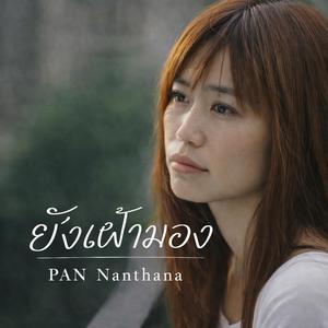 ยังเฝ้ามอง