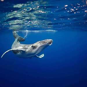 今天的天已经转晴了于是我就录了一首过去的歌给自己听把普洱坤哥泡给我的玫瑰酒喝了有点甜我没有喝醉