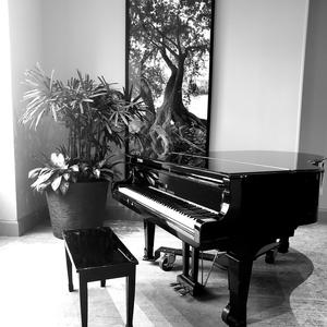 Beethoven Pathetique Mvt 2