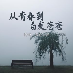 从青春到白发苍苍