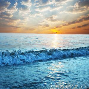 飞翔之翼 Wings of Soar