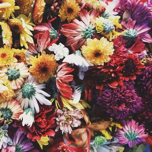 Flower Dance (Lofi Piano)