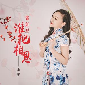 谁把相思寄红豆（DJ月之歌版）