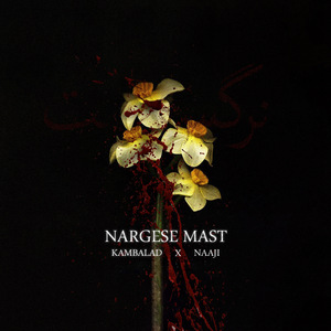 Nargese Mast