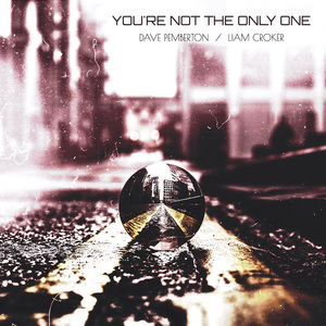 You're Not The Only One (Winachi Remix)