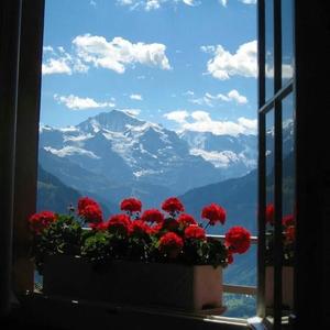 阳光正好微风不燥