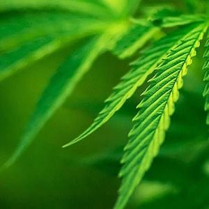 Right Above It (降速版)