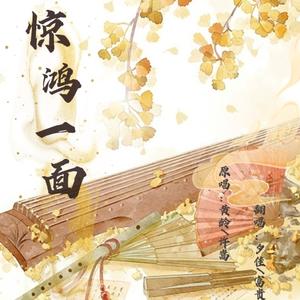 惊鸿一面（情人节版）