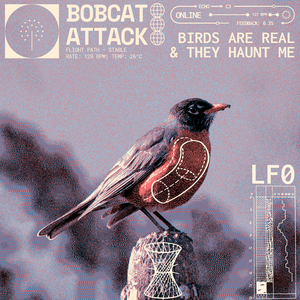 Birds Are Real, & They Haunt Me