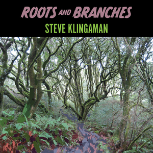 Famous Blue Raincoat