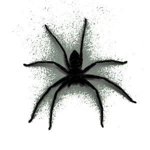 Lost