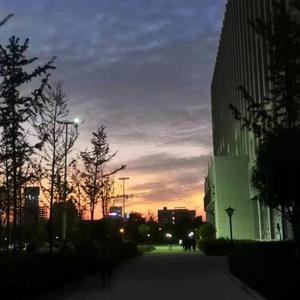 _MEDUSA Demo - Medusa Easy Swing渲染