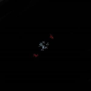 We don't need no coronavirus