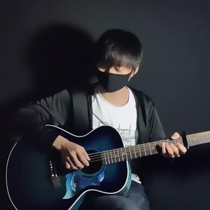 【惊鸿一面】指弹版