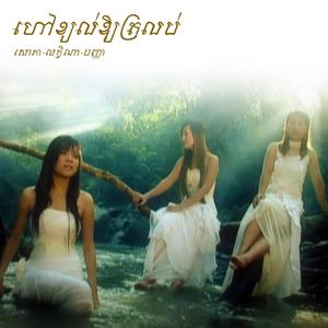 ទឹកភ្នែកញយដង