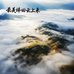 最美梯田云上来