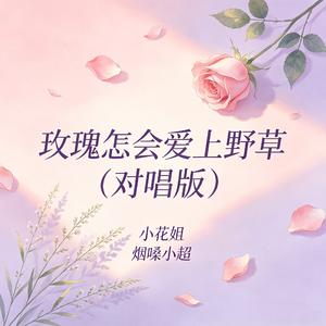 玫瑰怎会爱上野草(对唱版)