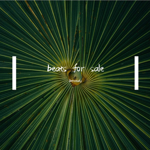 Lilnah-OBAMAGATE（bermudy remix）